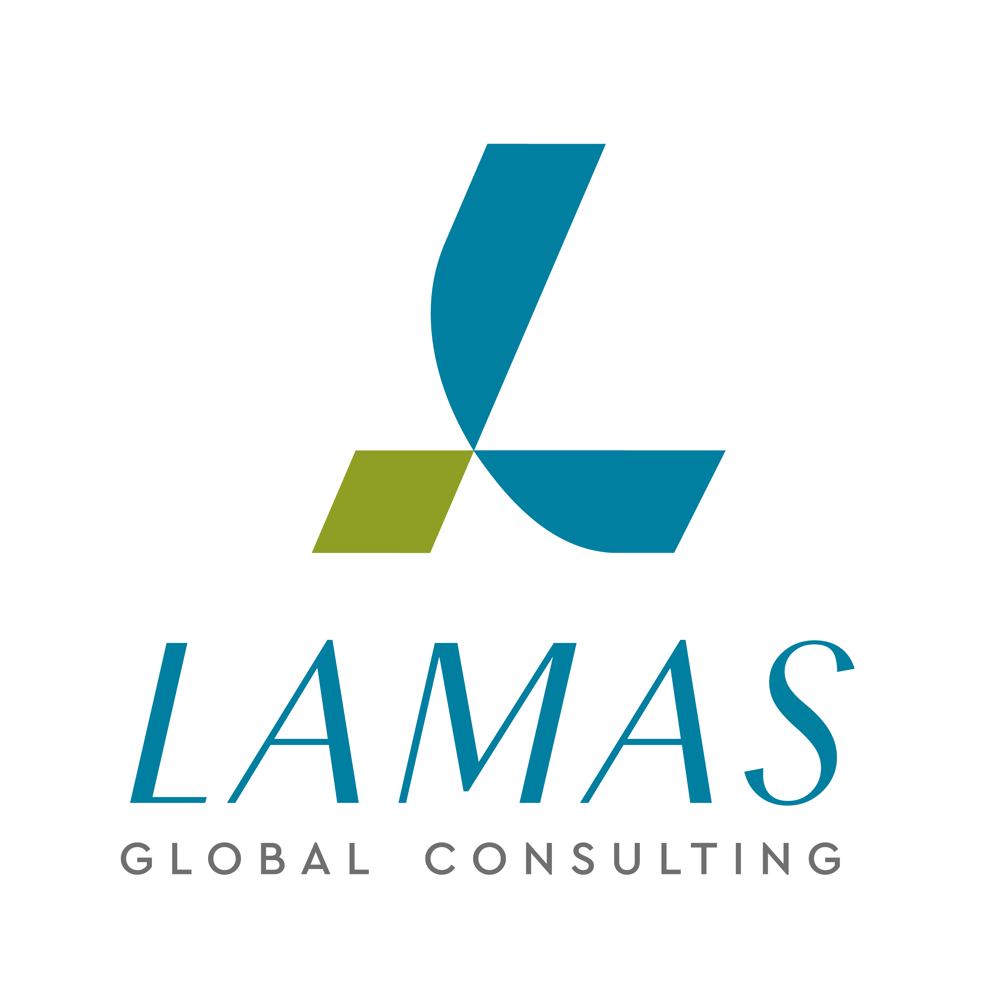 Lamas Global Consulting